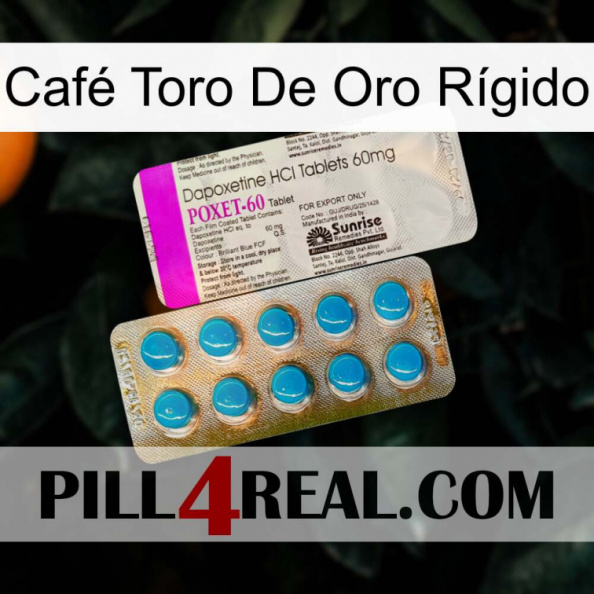 Café Toro De Oro Rígido new07.jpg